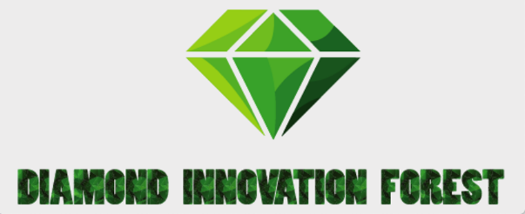 Công ty Cổ Phần Diamond Innovation Forest